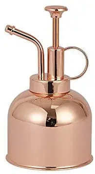 

Stainless Steel Watering Can, Upgrade Mini Plant Spray Mister 10oz/300ml Watering Pot for Outdoor Indoor Gardening Plant
