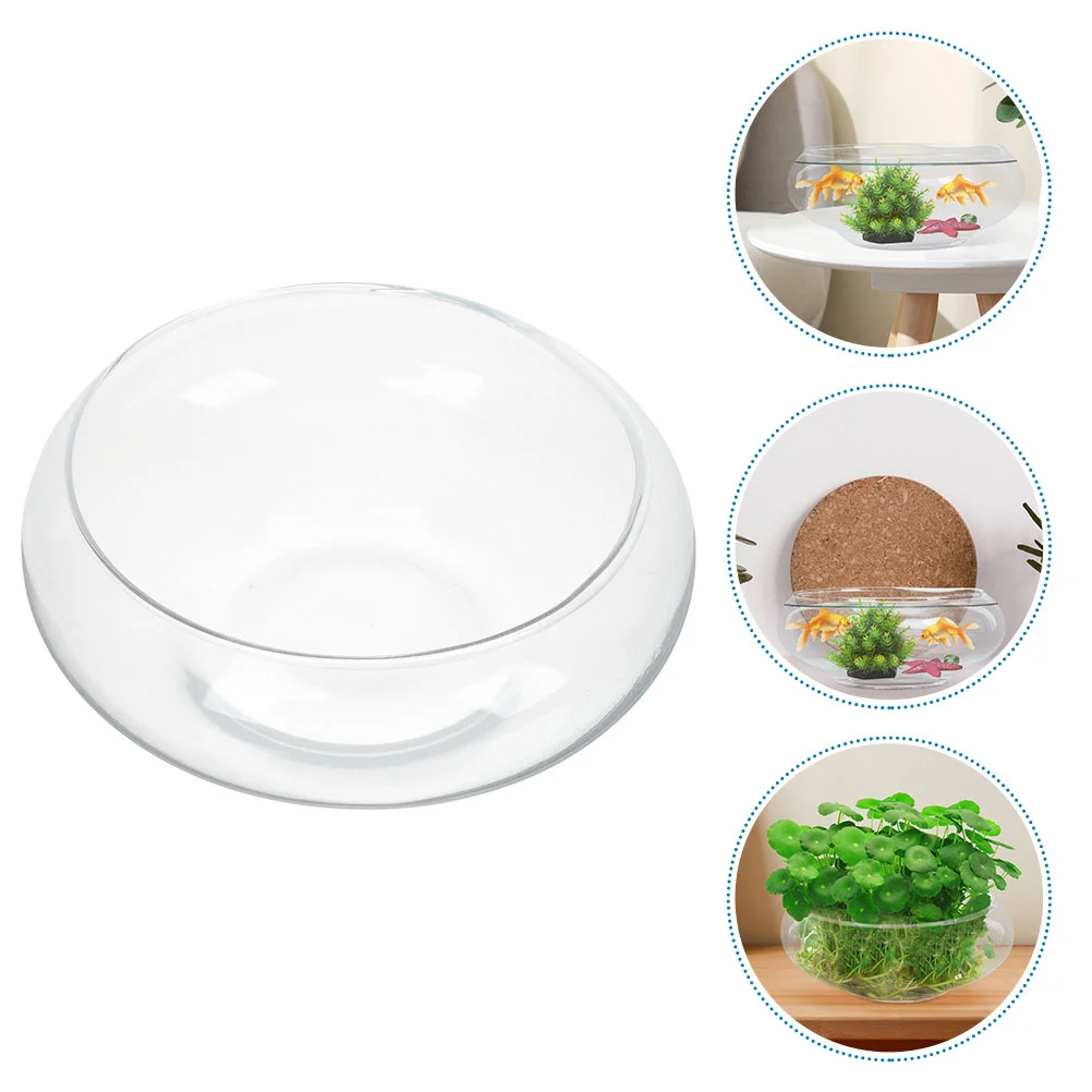 

Planter Vase Tank Terrarium Hydroponic Bowl Pot Globe Goldfish Betta Holder Flower Transparent Water Aquarium Floral Air Display
