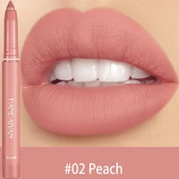 6 colors waterproof velvet matte nude lipstick pencil sexy red brown pigments makeup long lasting lip liner lips tint cosmetic
