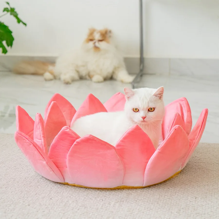 

Гамак теплый кошачий гнездо для помещения уютный быстрое весы роскошный дышащий диван-кровать для собак спальный дом для кошек товары для домашних животных