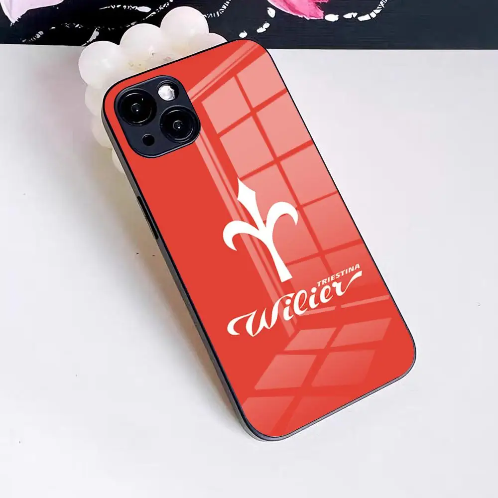 Чехол для телефона W-Wilier T-Triestina BIKE для iPhone 17 Pro Max 16 15 14 Pro Max 13 11 X Xs Xr 8 7Plus, стеклянная крышка (art.: 3920daaee3ca7) - 3920daaee3ca7
