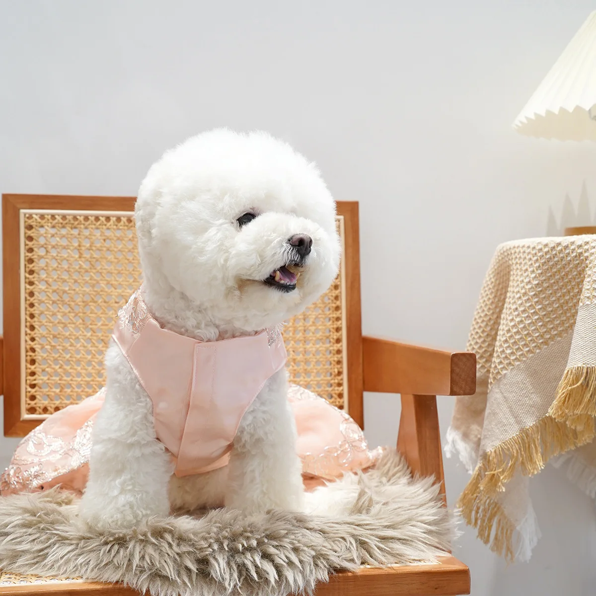 

Dog Wedding Dress Sleeveless Pets Princess Skirt Butterfly Puppy Clothes Lovely Summer Tutu Party Outfit Fashion Animal Products