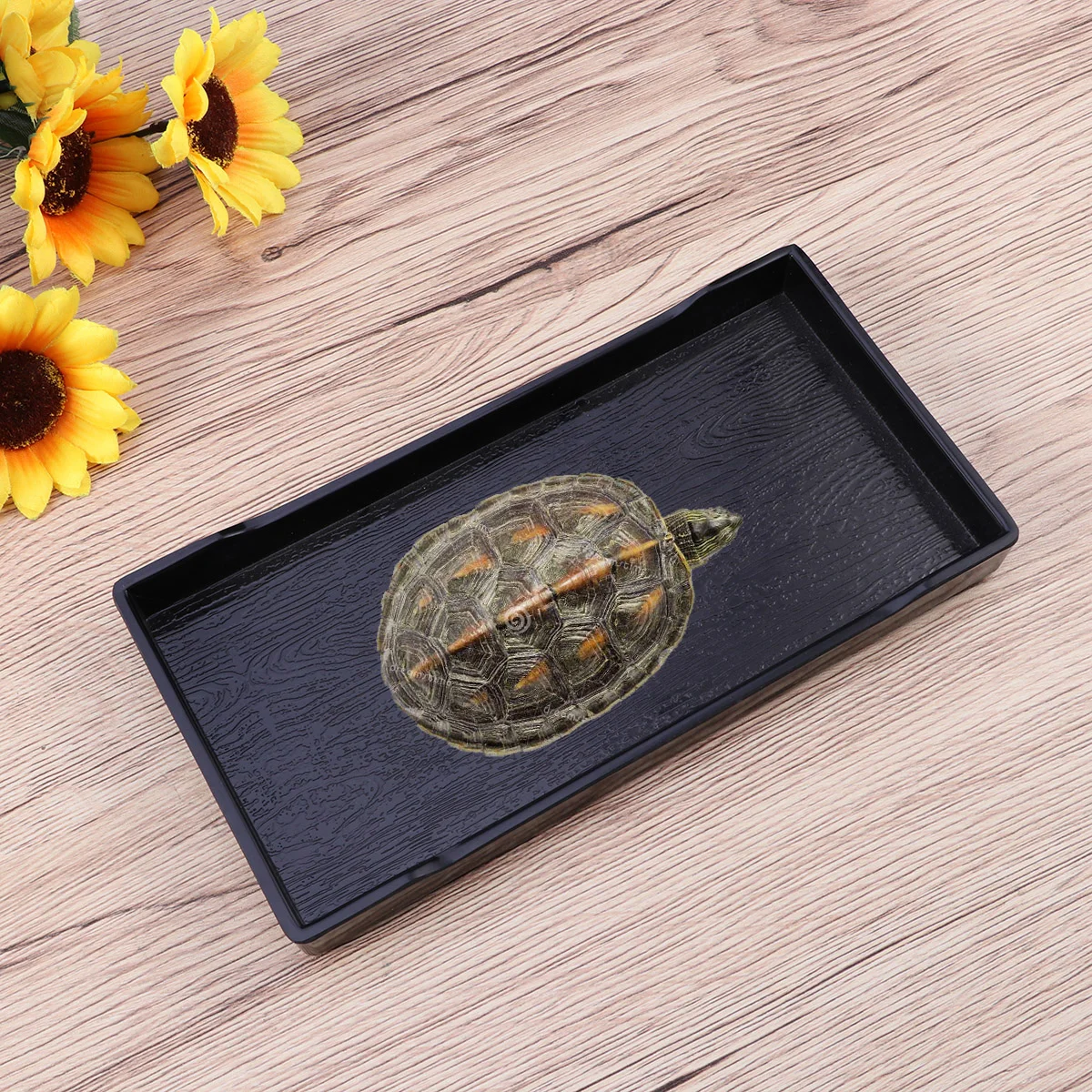 

Reptile Bowl Water Dishtortoise Turtle Accessories Feeding Basin Bath Habitat Drinking Supplies Large Petpool Snake Shallowgecko