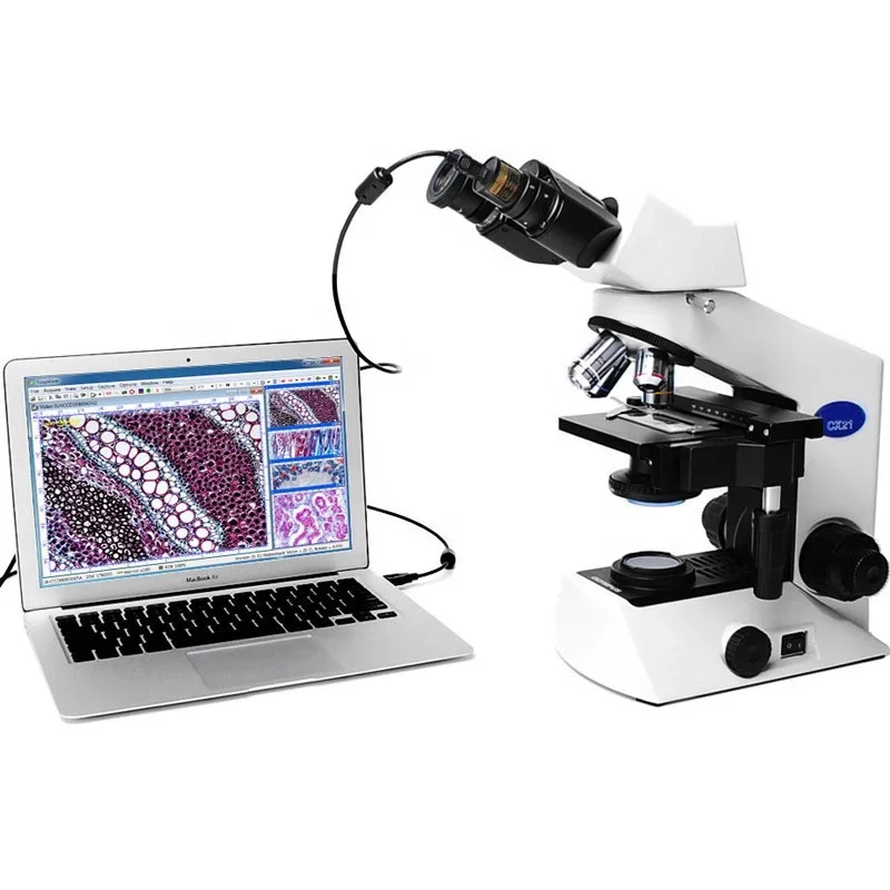 Заводская поставка 5MP CMOS USB2.0 Портативный HD-микроскоп Цифровая камера для