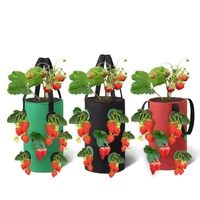 2022jmt3 gal 12 holes strawberry grow pot bags plants flower tomato growing garden wall hanging vegetable root planting reusable