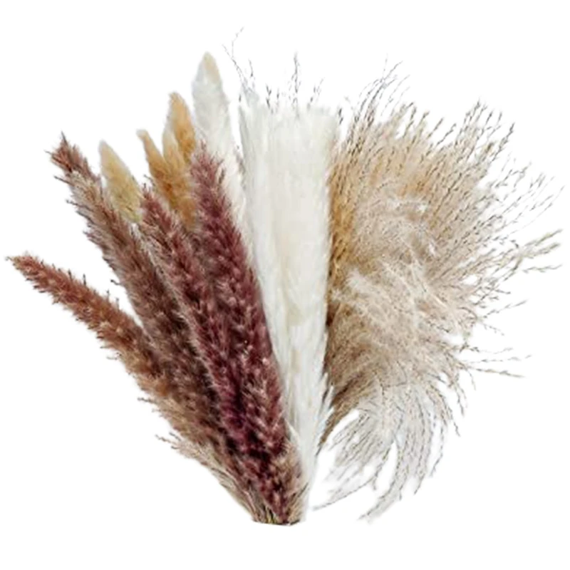 

Dried Flowers Decoration Bouquet Decor Fluffy Plants Dry Floral For Vase, Boho And Vintage Decoration For Home Wedding