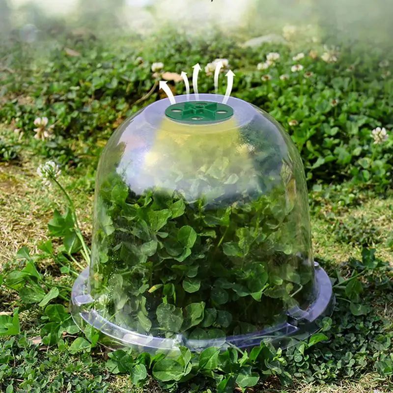 10 шт. куполообразные контейнеры для растений с крышкой