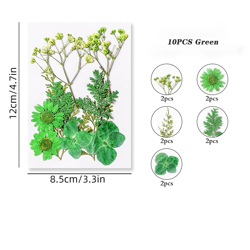 

JESJELIU Сушеные цветы для ароматерапии