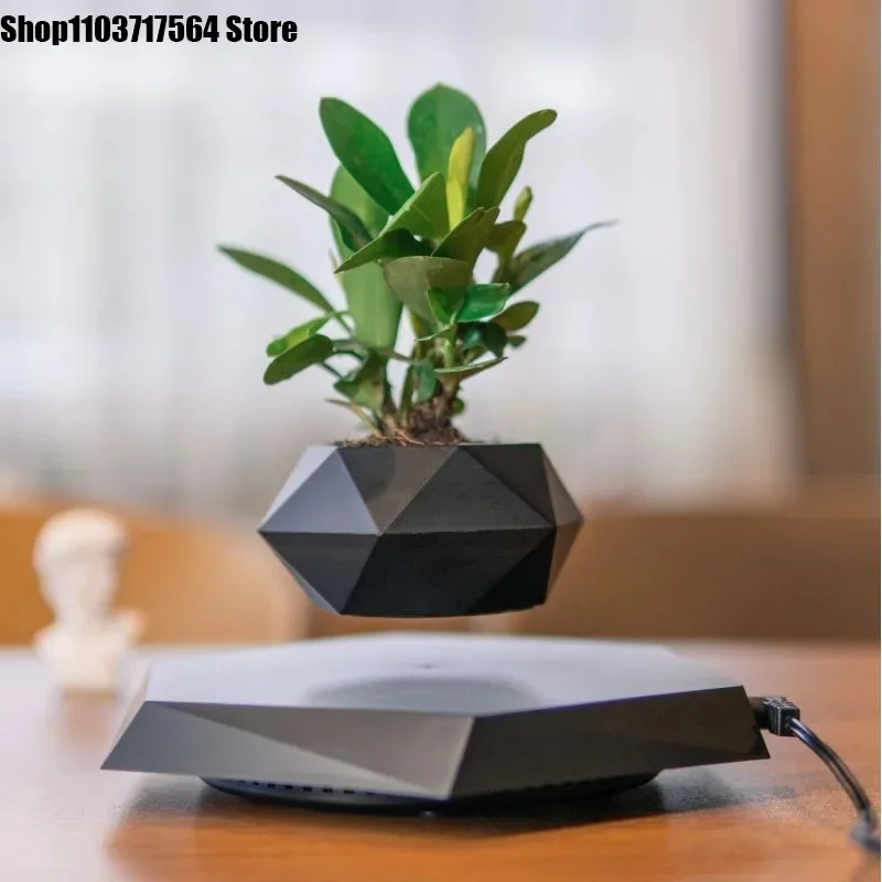 Домашний декор maglevu в горшке новый необычный цветочный горшок креативные