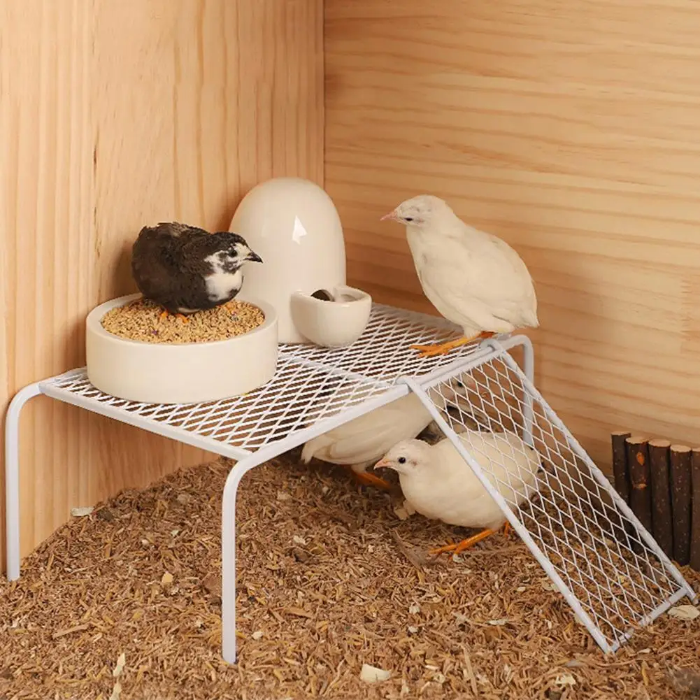 

[ NEW ARRIVALS ] Rutin Chicken Grid Racks With Climbing Ladder Stainless Steel Landscaping Platforms Feeding Supplies