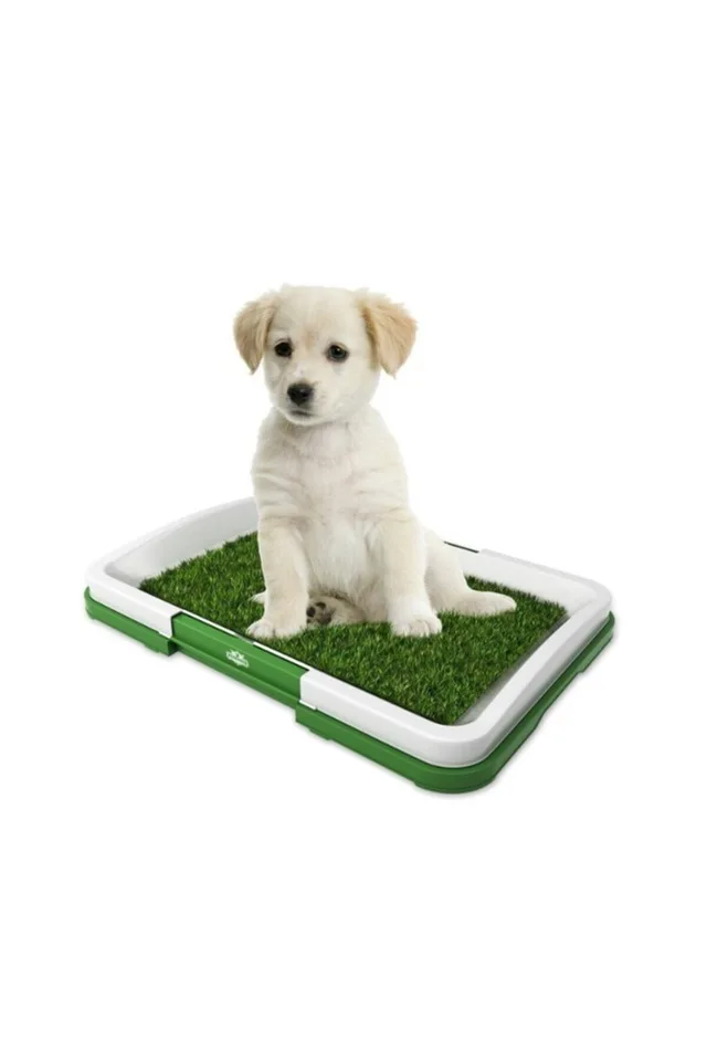 

Dog Toilet Training Kit: Potty Trainer 484048717