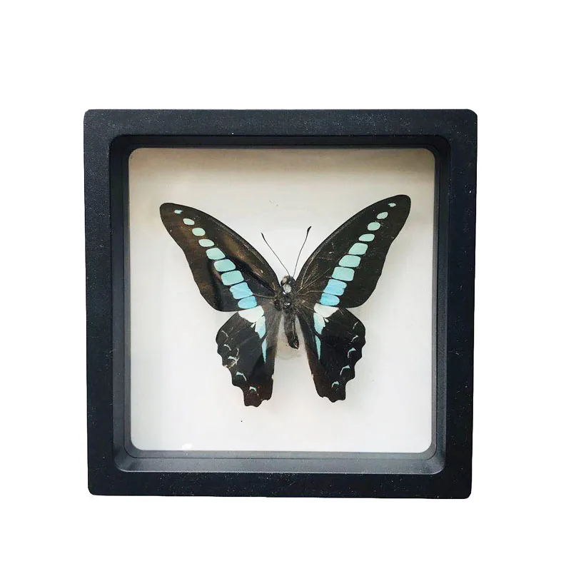 1 новый образец бабочки насекомых подарок на день рождения обучающий реквизит
