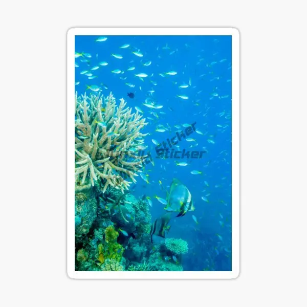 Фото Whits Sunday Islands Australia Coral Sea Whitehaven Beach Пейзаж Виниловая наклейка для автомобиля Самоклеящаяся наклейка JDM №4