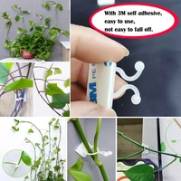 plant climbing wall self adhesive fastener tied fixture vine buckle hook garden plant wall climbing vine clips fixed buckle hook