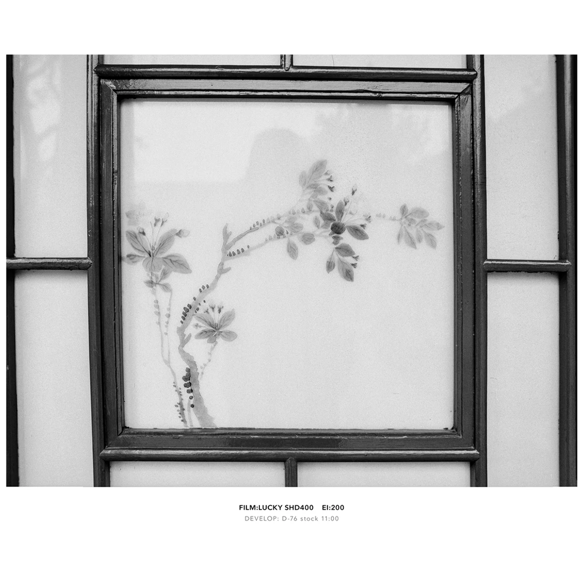 1-10 рулонов 120 мм SHD 400 LUCKY ISO черно-белая отрицательная пленка для камеры Kodak Fujifilm