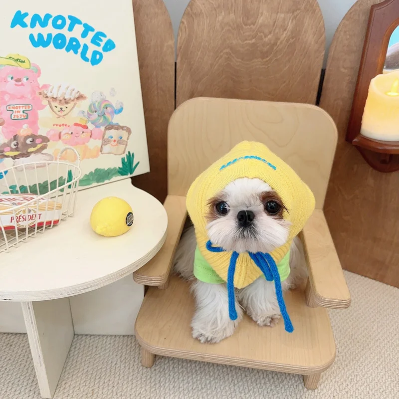 

Шапка для домашних животных, аксессуары для щенков, кошек, теплая осенне-зимняя шапка для домашних животных, модные шапки для кошек и собак, головной убор для маленьких собак, французского бульдога CW119