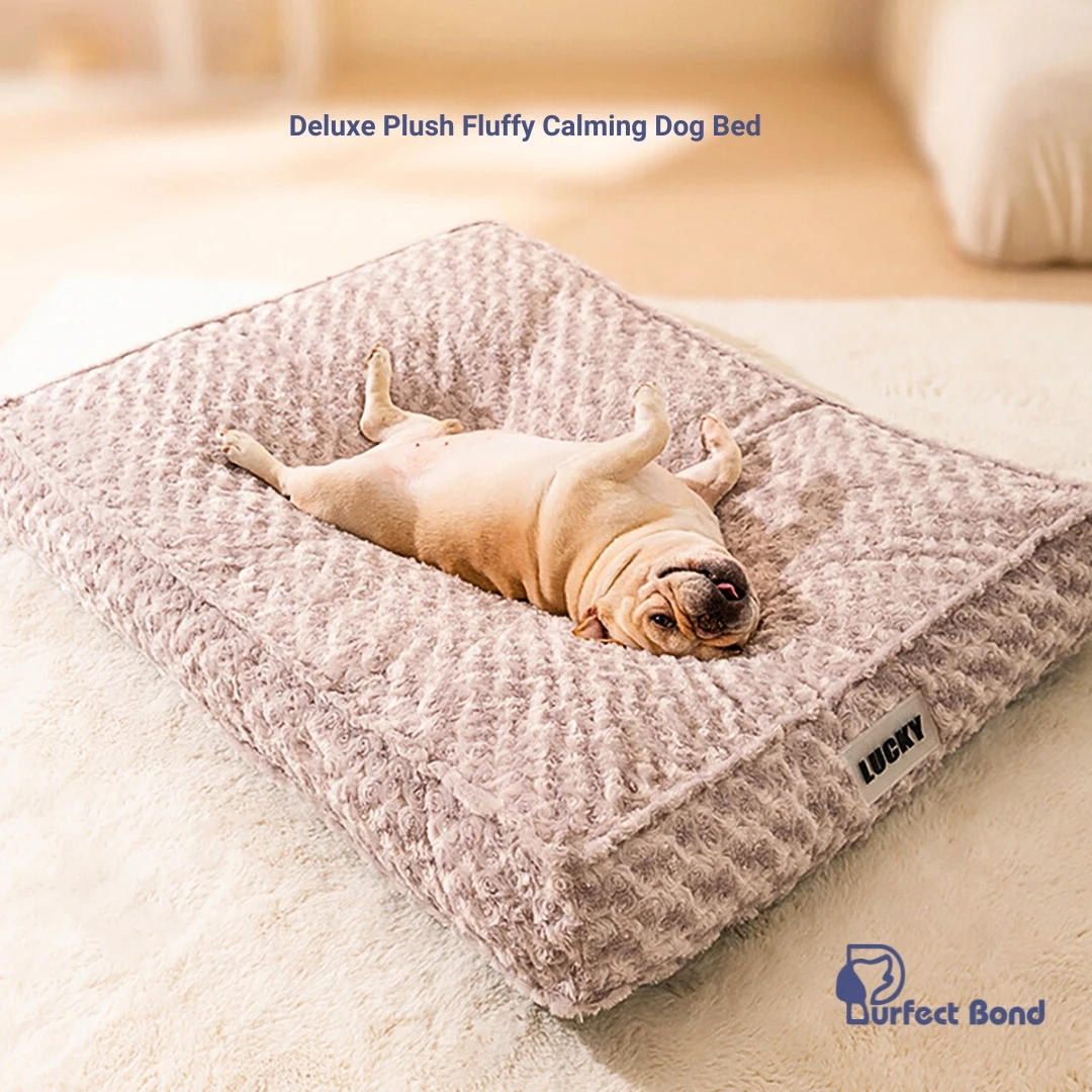 Deluxe Plush Fluffy Calming Dog Bed for Dogs Dog Bed with Removable Cover Self-Warming Washable Dog Bed Deluxe Plush Fluffy Calming Dog Bed for Dogs Dog Bed with Removable Cover Self-Warming Washable Dog Bed