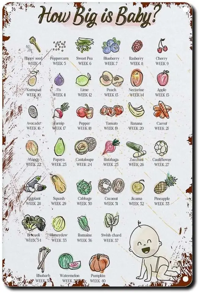 Оловянная вывеска Как большая детская таблица фруктов Образование беременности