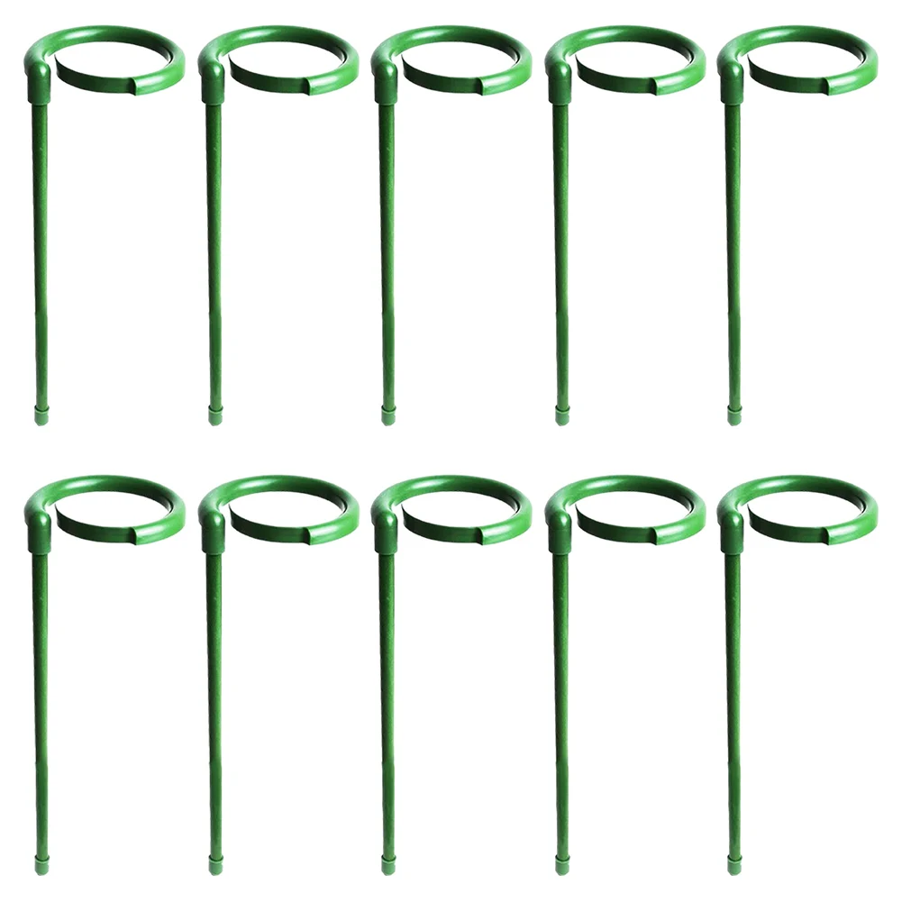 

10pcs Plant Support Pole Garden Holder Support Pole Phalaenopsis Climbing Vine Single Stem Plant Support Clips