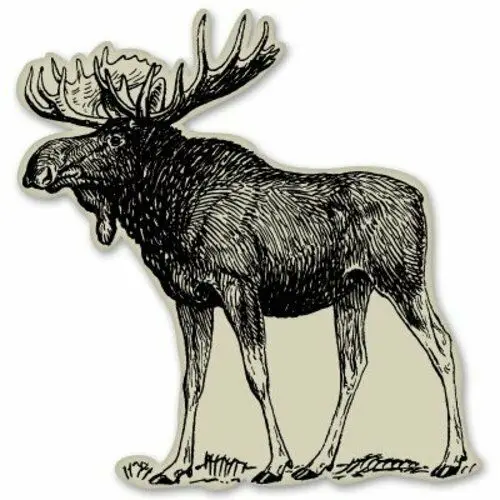 

For 10cm! Car wash resistant car sticker sticker elk L212