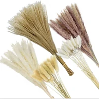 30pcs horsetail whisk lagurus ovatus pampas grass dry flowers natural dekoration reed phragmites bunch communis decoration