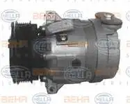 

Store code: 8FK351102-001 for air conditioner compressor VECTRA B