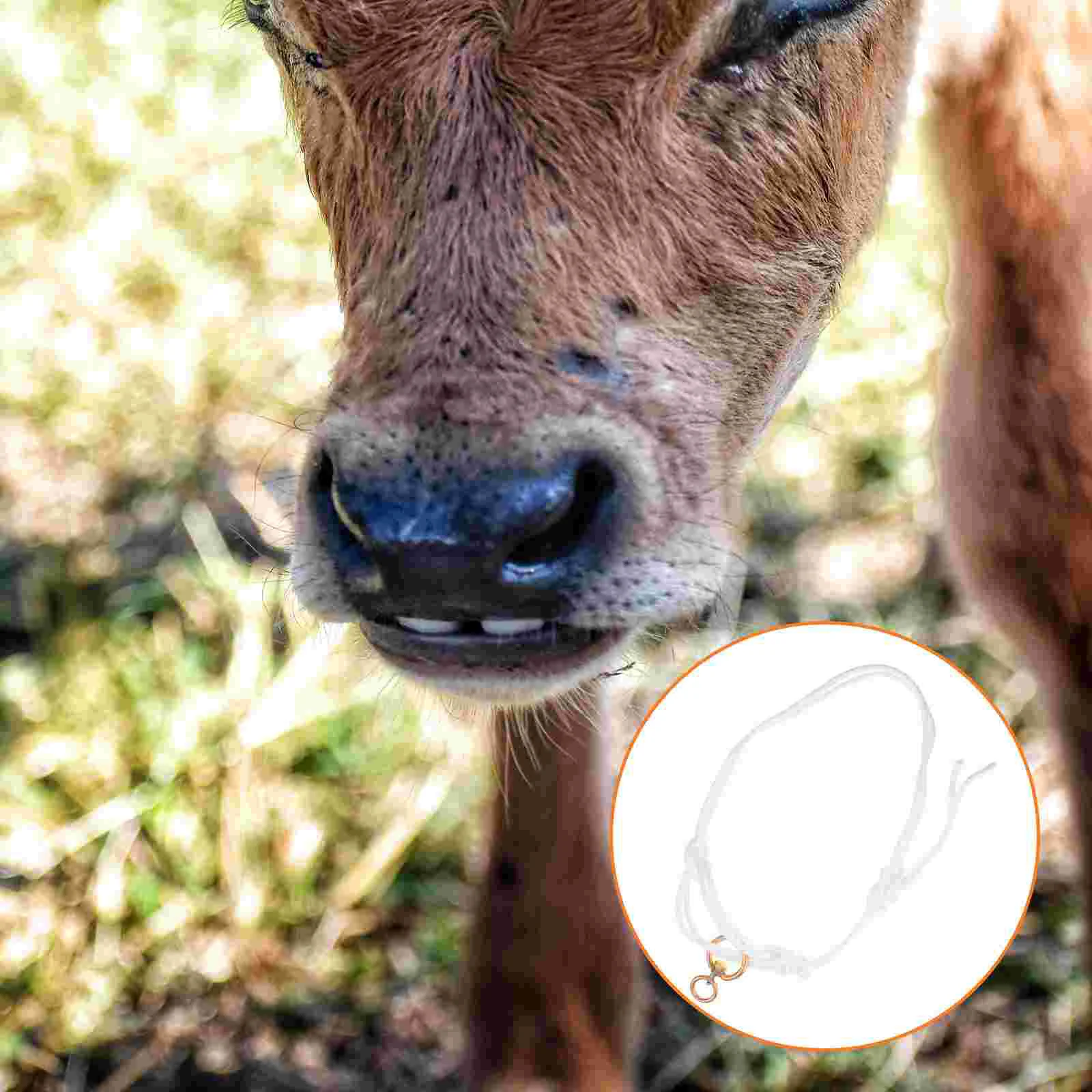 Рисунок 3 - Шнурок с завязками для крупного рогатого скота