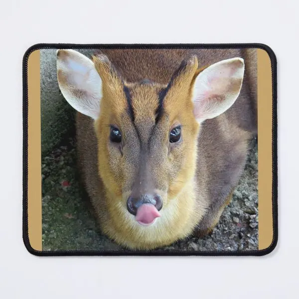 

Коврик для мыши Muntjac с изображением оленя, мужской Настольный игровой компьютерный коврик для мыши, игровой Аниме Коврик для стола с принтом