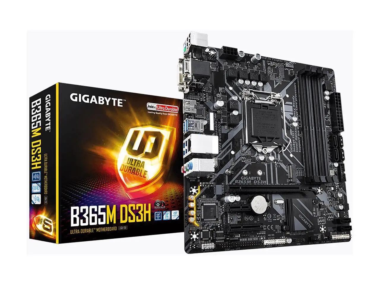 

Gigabyte B365M DS3H Gaming Motherboard Supports 9th and 8th Gen Core Processors with B365 Chipset LGA 1151 Socket