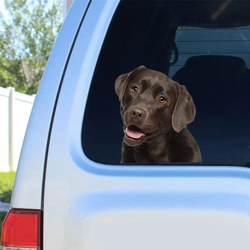 

Милые наклейки для автомобиля с лабрадором, самоклеящаяся водонепроницаемая наклейка, декоративные аксессуары для мотоцикла, 15x17 см, ПВХ