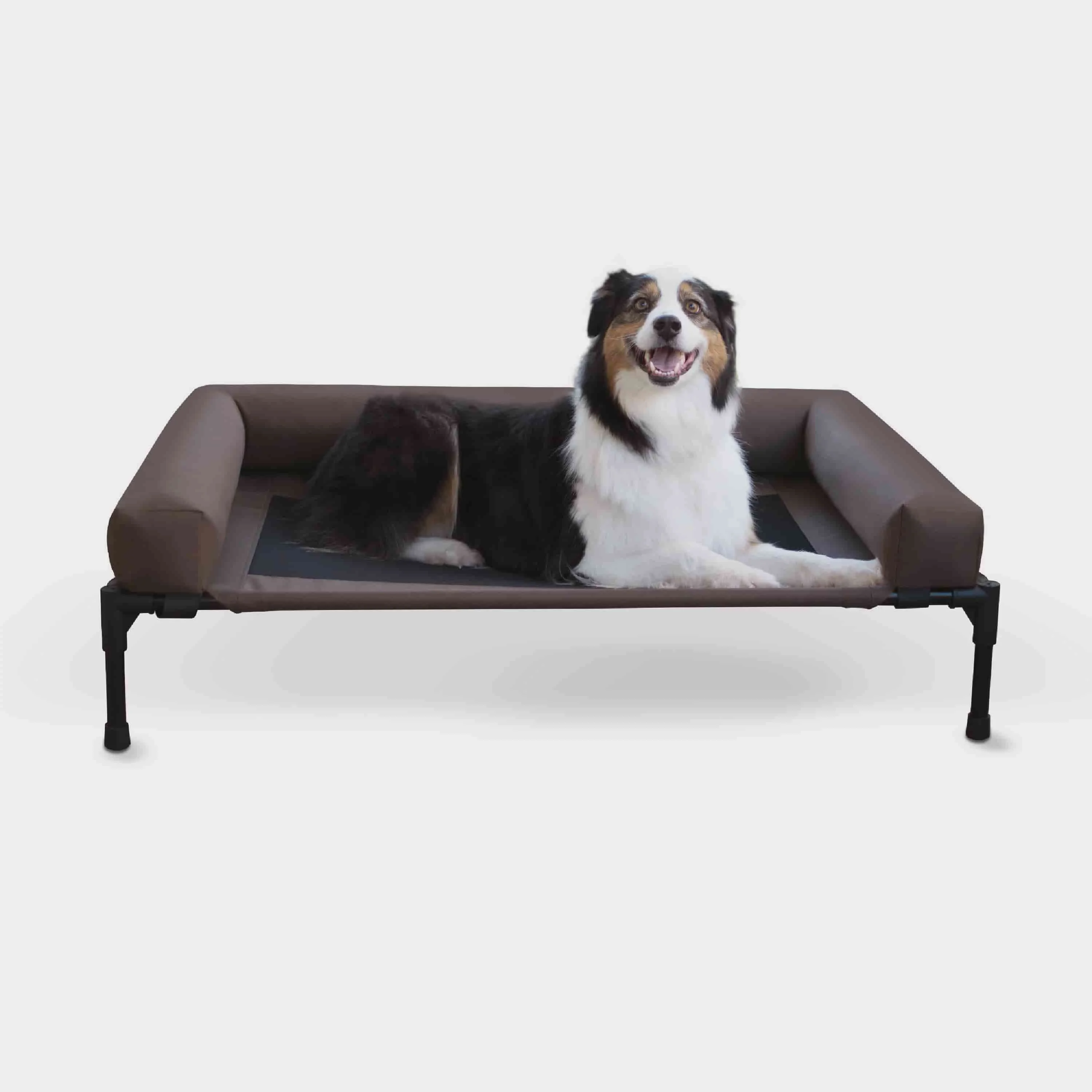 

Cooling Cot Pet Dog Bed, Large, Chocolate/Black Mesh