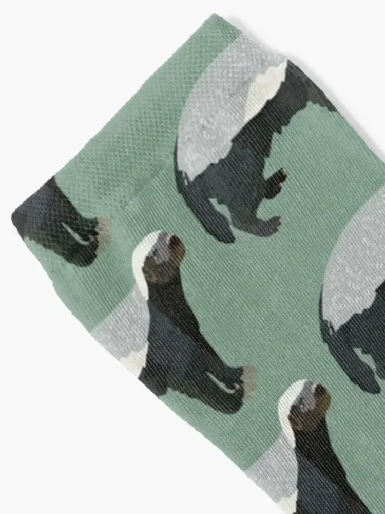 H is for Honey Badger Socks Детские лоты модные носки Мужские женские