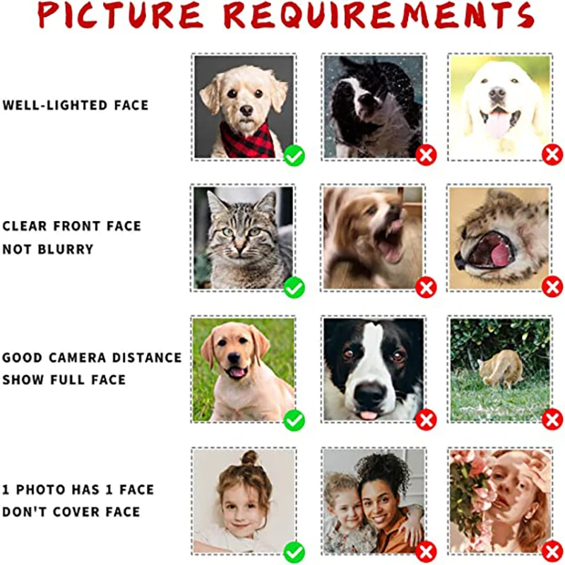 Personalized Custom Print Your Photo Pet Face Socks Socks Logo Fashion Funny Cotton DIY Design Birthday Valentine's Novelty Sock