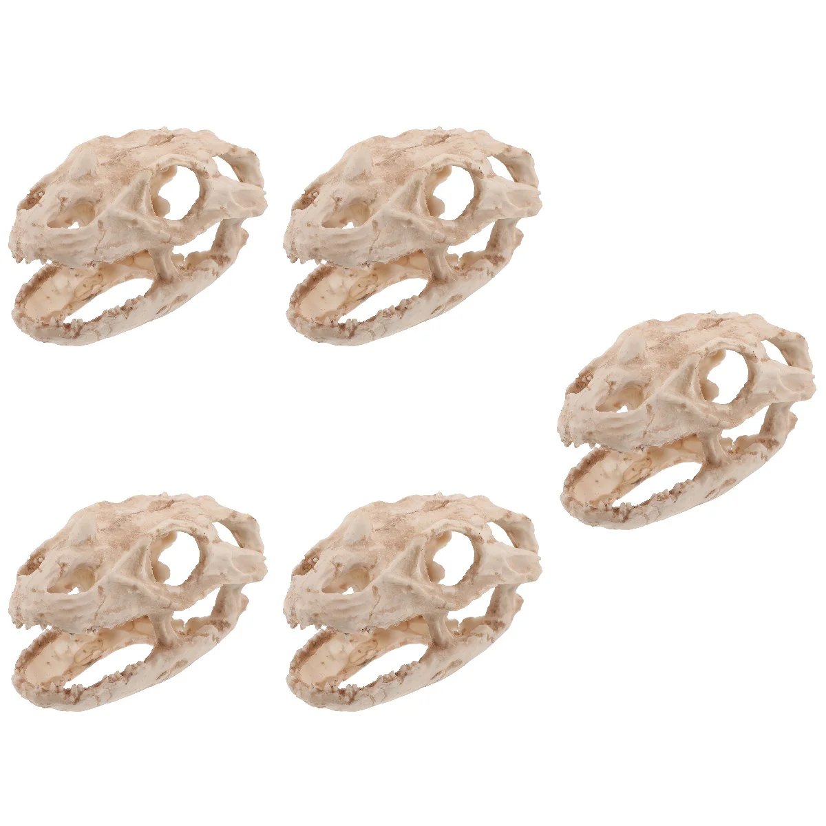 

5pcs Tank Decoration Hideout Ornament Aquarium Shrimp Hiding Place Decor
