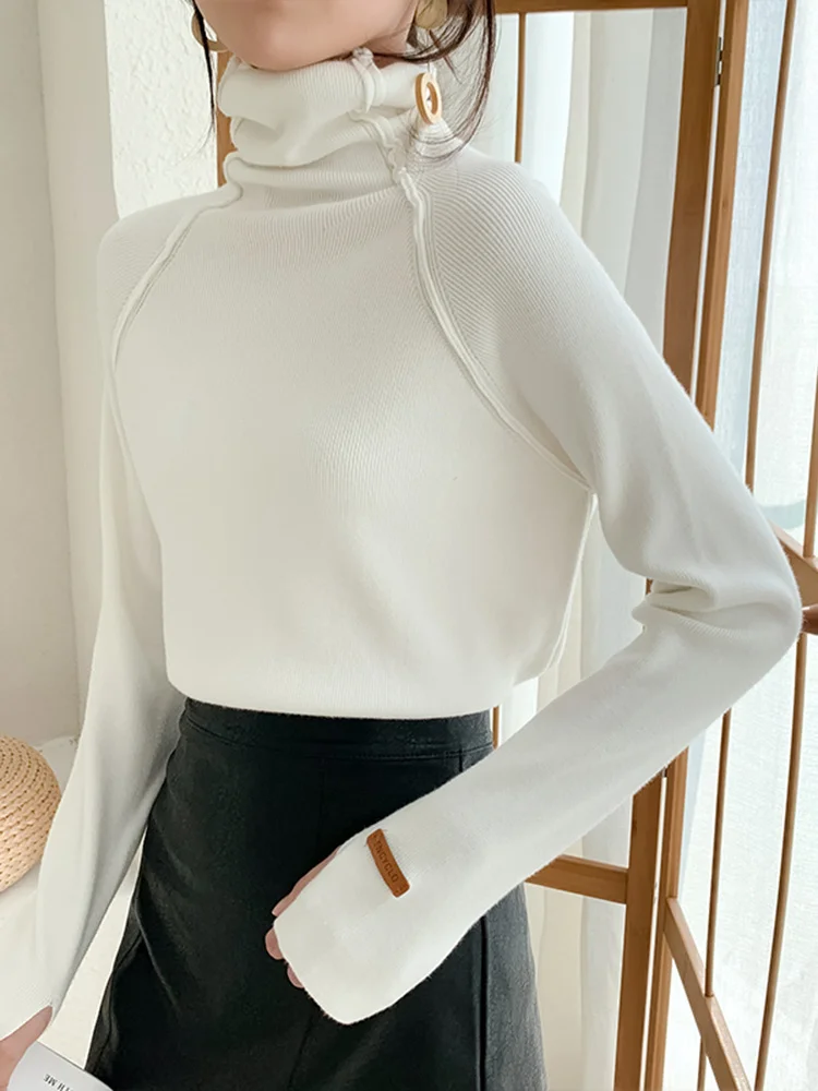 

Hot Sale 2023 Autumn Winter Turtleneck Women Sweater Elegant Warm Female Knitted Pullovers Casual Stretched Sweater jumpers fem
