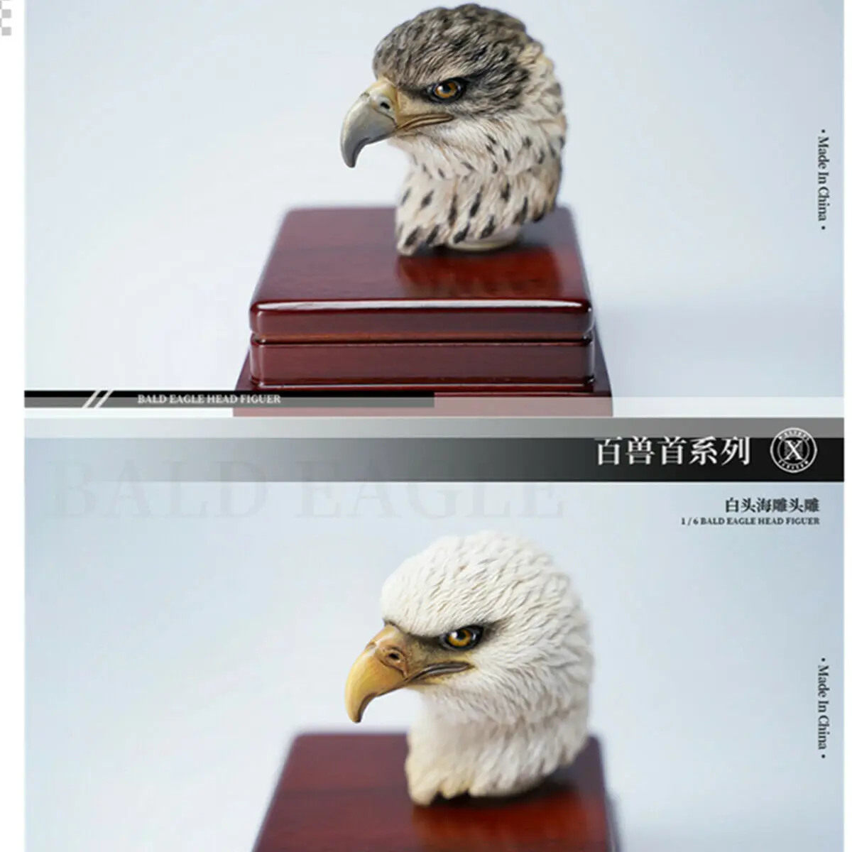 

Mostoys 1/6 Bald Eagle Figure Healing Soldier Model Haliaeetus Leucocephalus Animal Collector Toy Resin Realistic Decor Kid Gift
