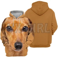 animals dogs dachshund sausage dog 3d printed hoodies unisex pullovers funny dog hoodie casual street tracksuit