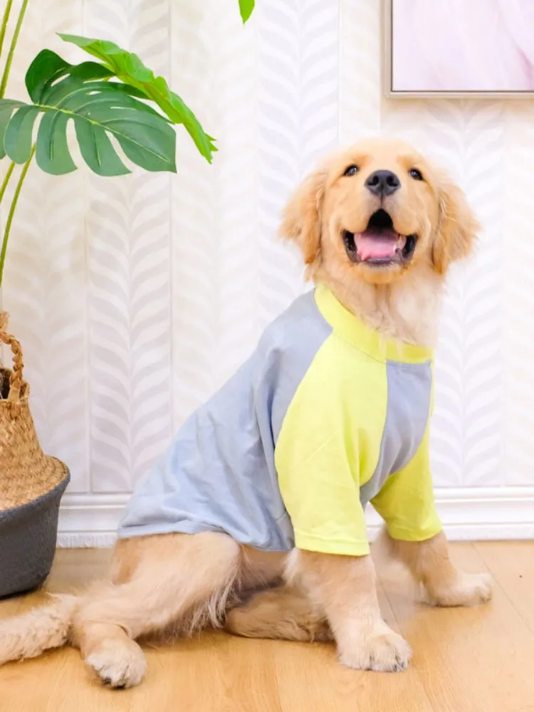 ropa perro gucci – Compra ropa perro gucci envío AliExpress version