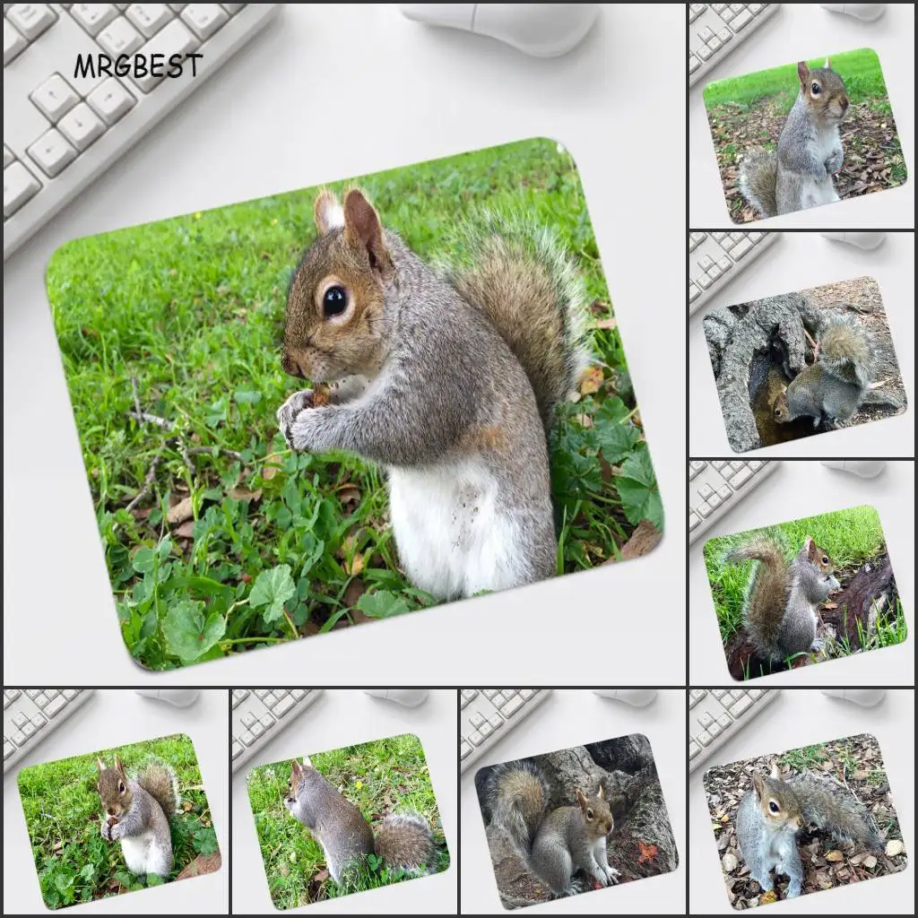 Игровой коврик для мыши с принтом в виде белки, маленький размер 220x180x2 мм, большая рекламная акция, Настольный коврик для мыши для офиса, оптовая продажа