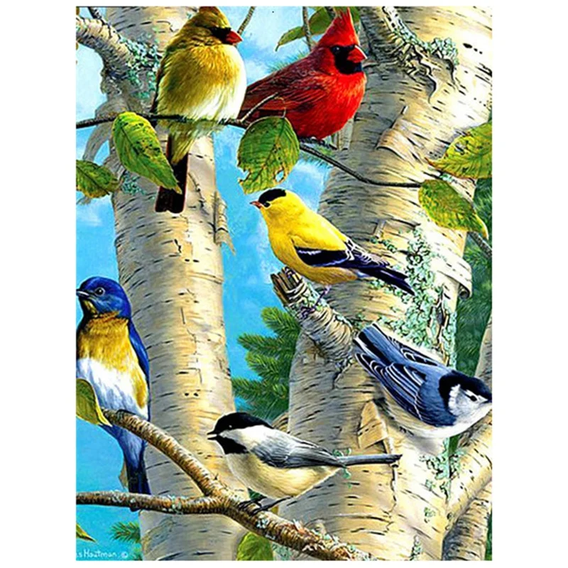 

Алмазная живопись для взрослых и детей, набор аксессуаров для алмазной живописи, вышивка крестиком, полная вышивка, шесть птиц (30x40 см)