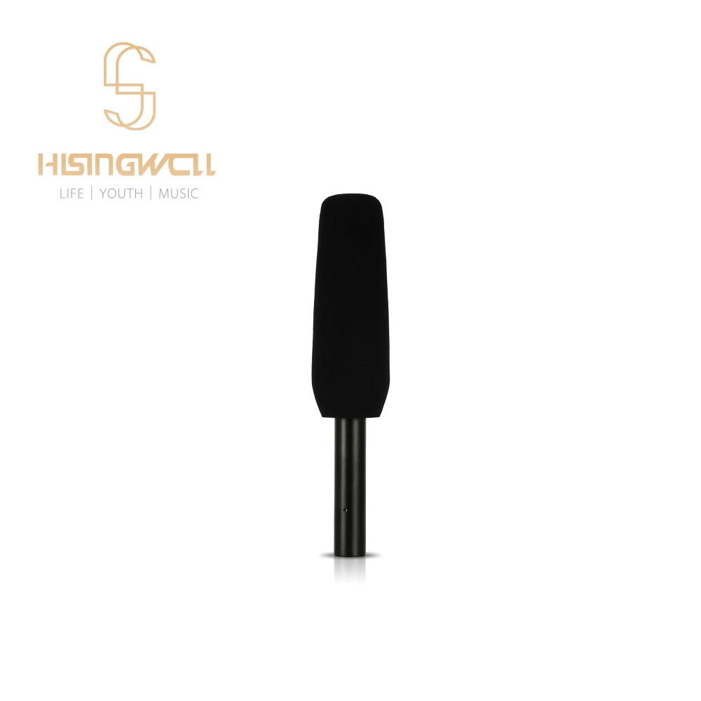 

HISINGWELL Metal Supercardioid Condenser Shotgun Microphone,Suitable For Interviewing, Shooting Professional Grade Equipment