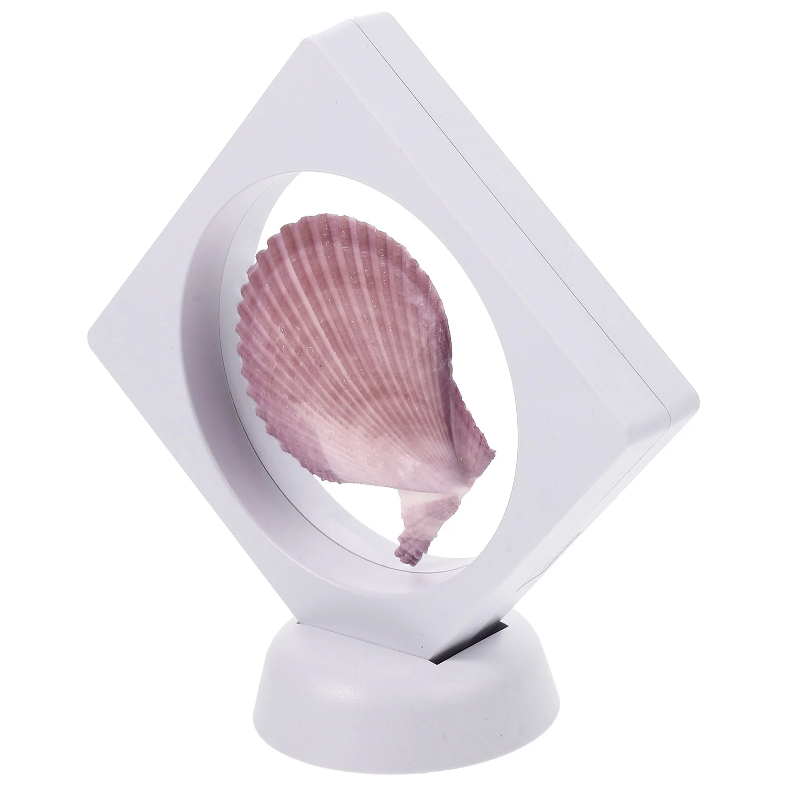 

Shell Nautical Sea Conch Figurines Decorations Beach Home Decoration Ham West Favors Party Ocean Seaside Coastal