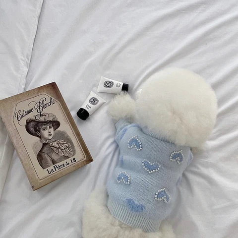 Bonito moda princesa roupas para cães amor pérola saia do cão suéter de pelúcia gato pequeno filhote de cachorro quente design de inverno roupas para cães colete