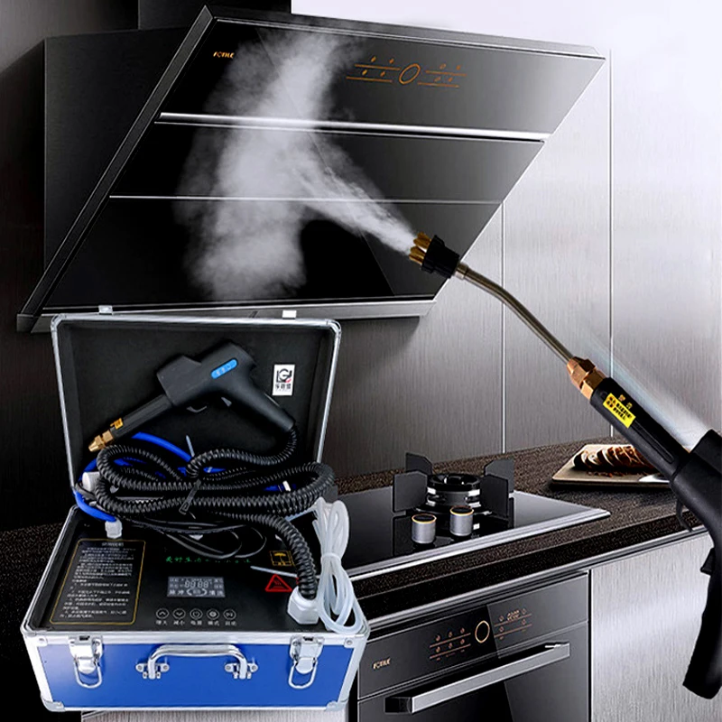 

High Temperature Steam Cleaner Air Conditioner Cleaning Devices High Pressure Steam Generator Cleaning Machine Ozone Disinfector