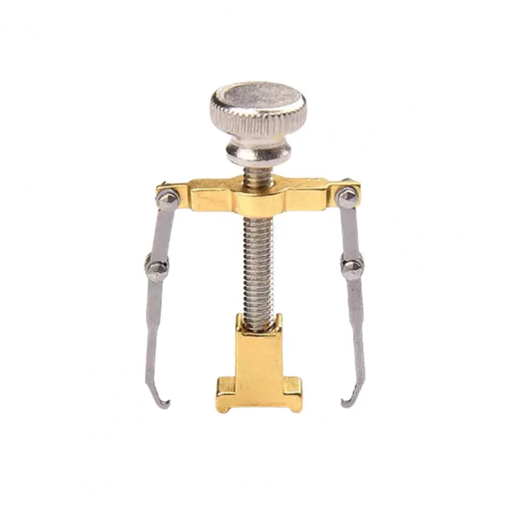 

Two Colors Professional Pedicure Care Ingrown Toenail Correction Device for Foot Treatment Foot Nail Fixer Recover Tool for Foot