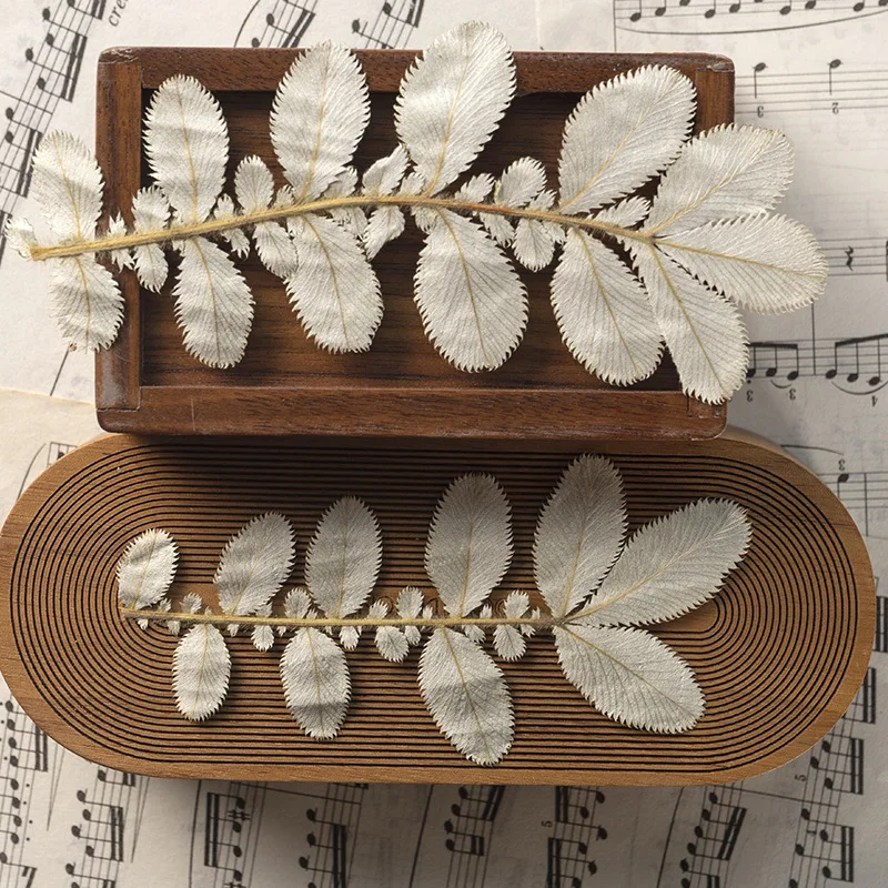 120 шт. цветочный гербарий Электронная карточка закладки рамка лампа для макияжа