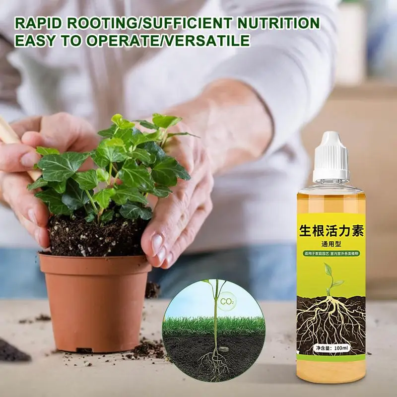 Рисунок 6 - Гормоны роста корней