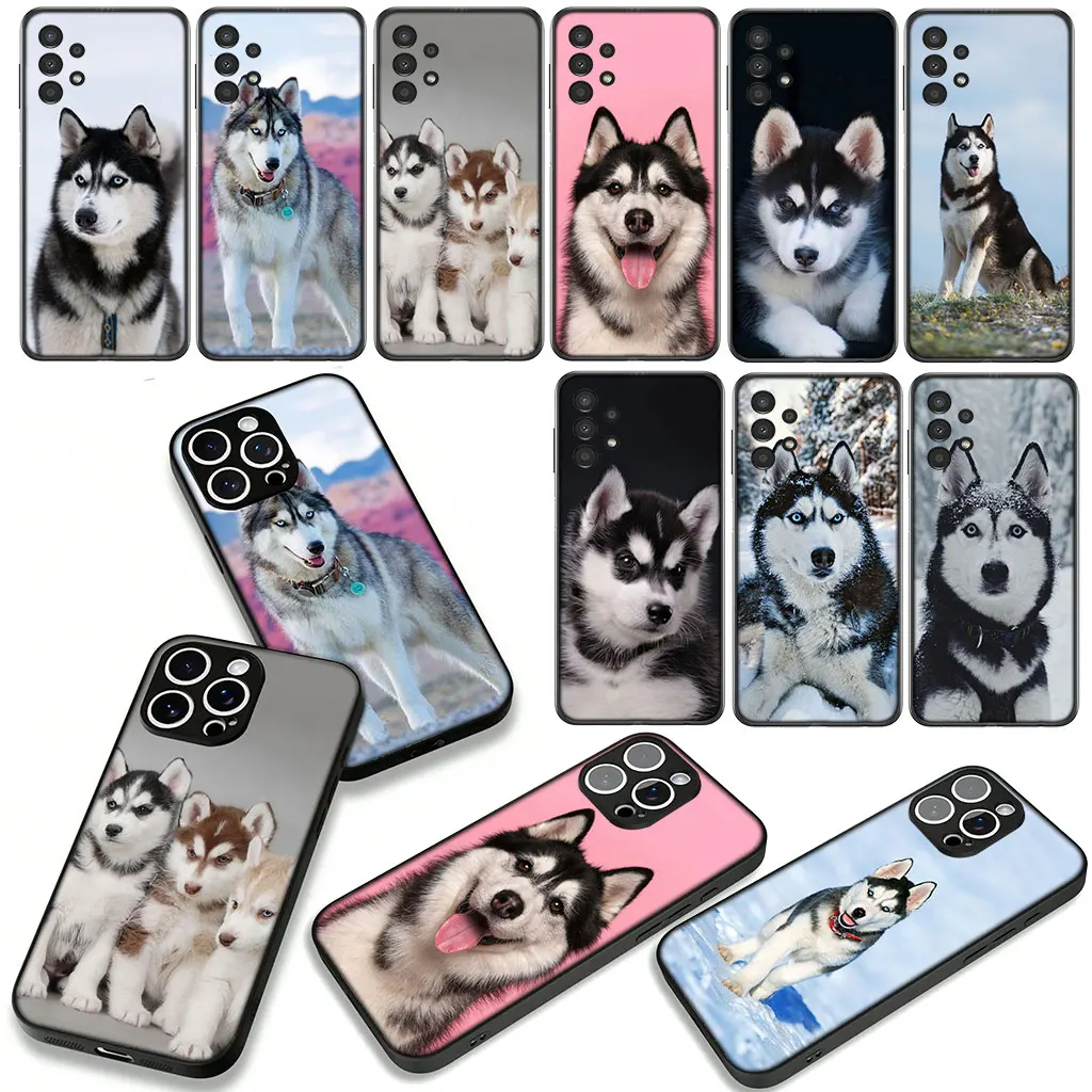 Фото Чехол для телефона Lovely Husky Dog Funny для Apple iPhone 17 16 11 Pro XS Max XR 6 7 8 Plus 16E SE 2020 Air 5 SE2, гибкий чехол №2
