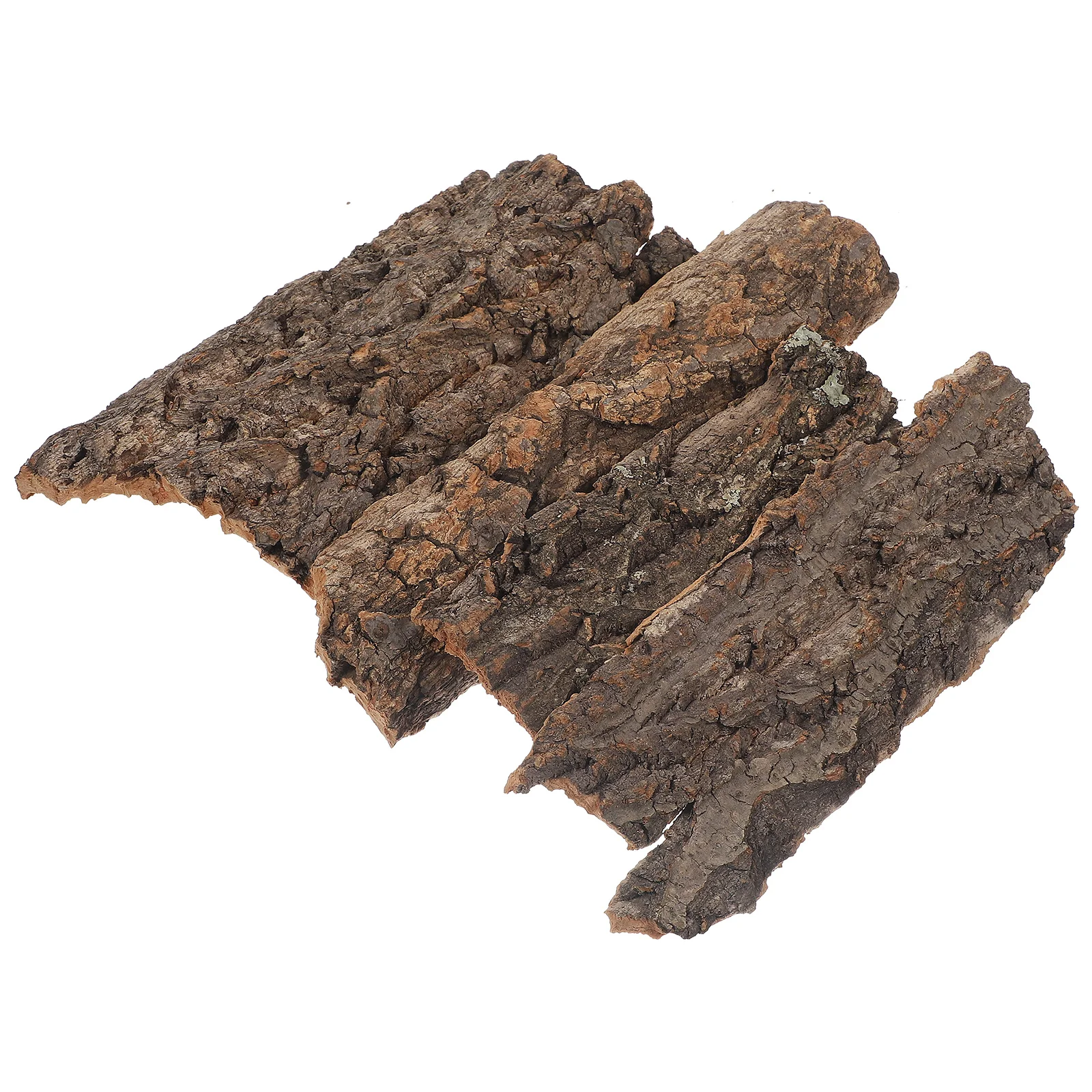 Рептилии платформа для скалолазания корка борода черепаха подъемная акриловое