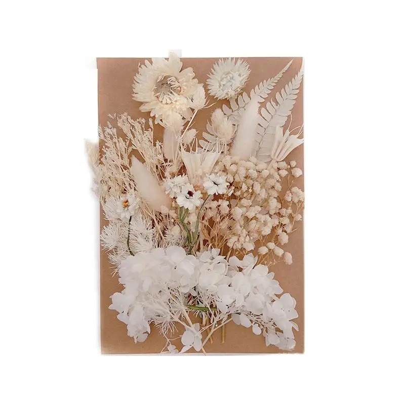 

Dried Pressed Flowers Dried Flowers DIY UV Resin Fillers Natural Flower Stickers Dry Beauty Decal For DIY Candles Dropshipping